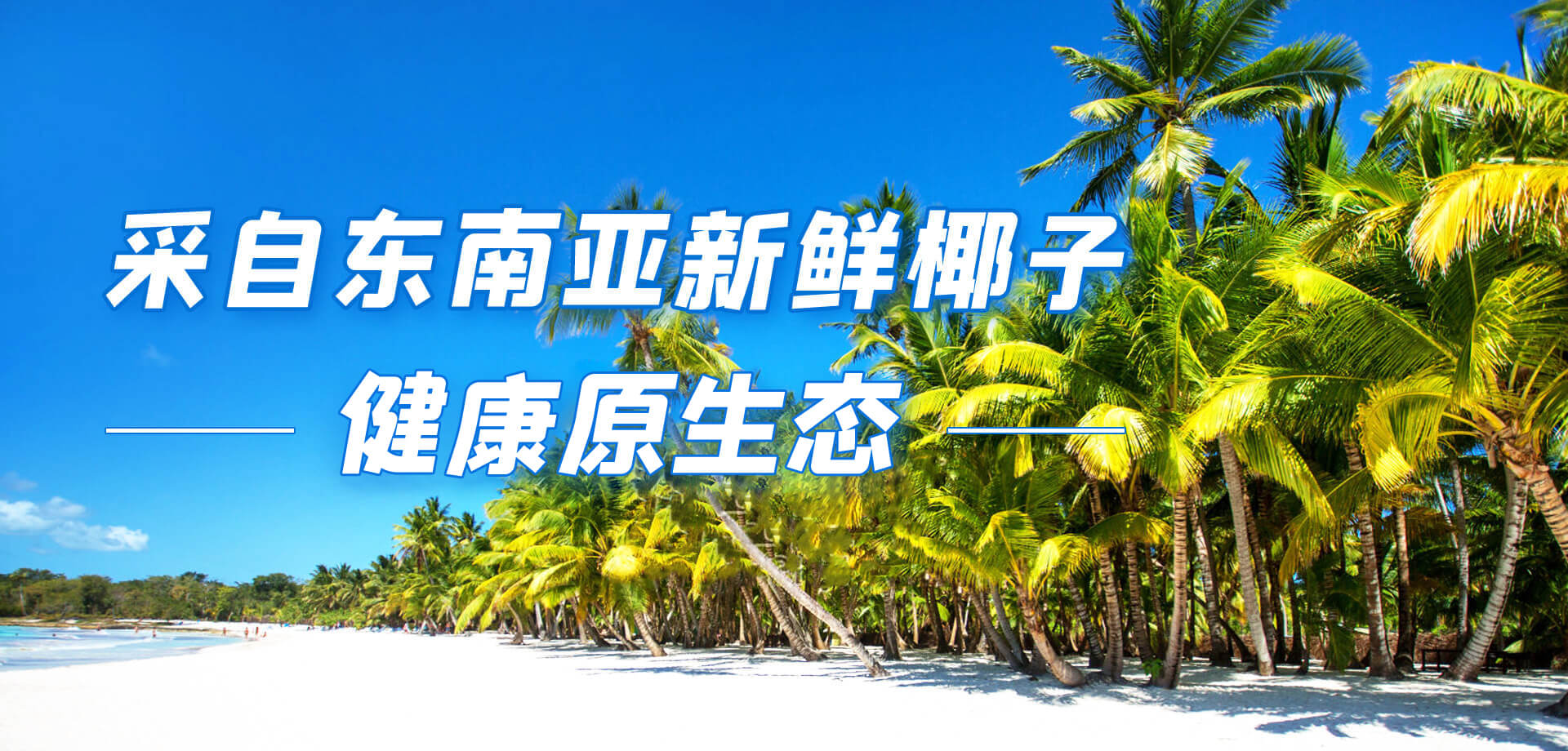 清蓝banner