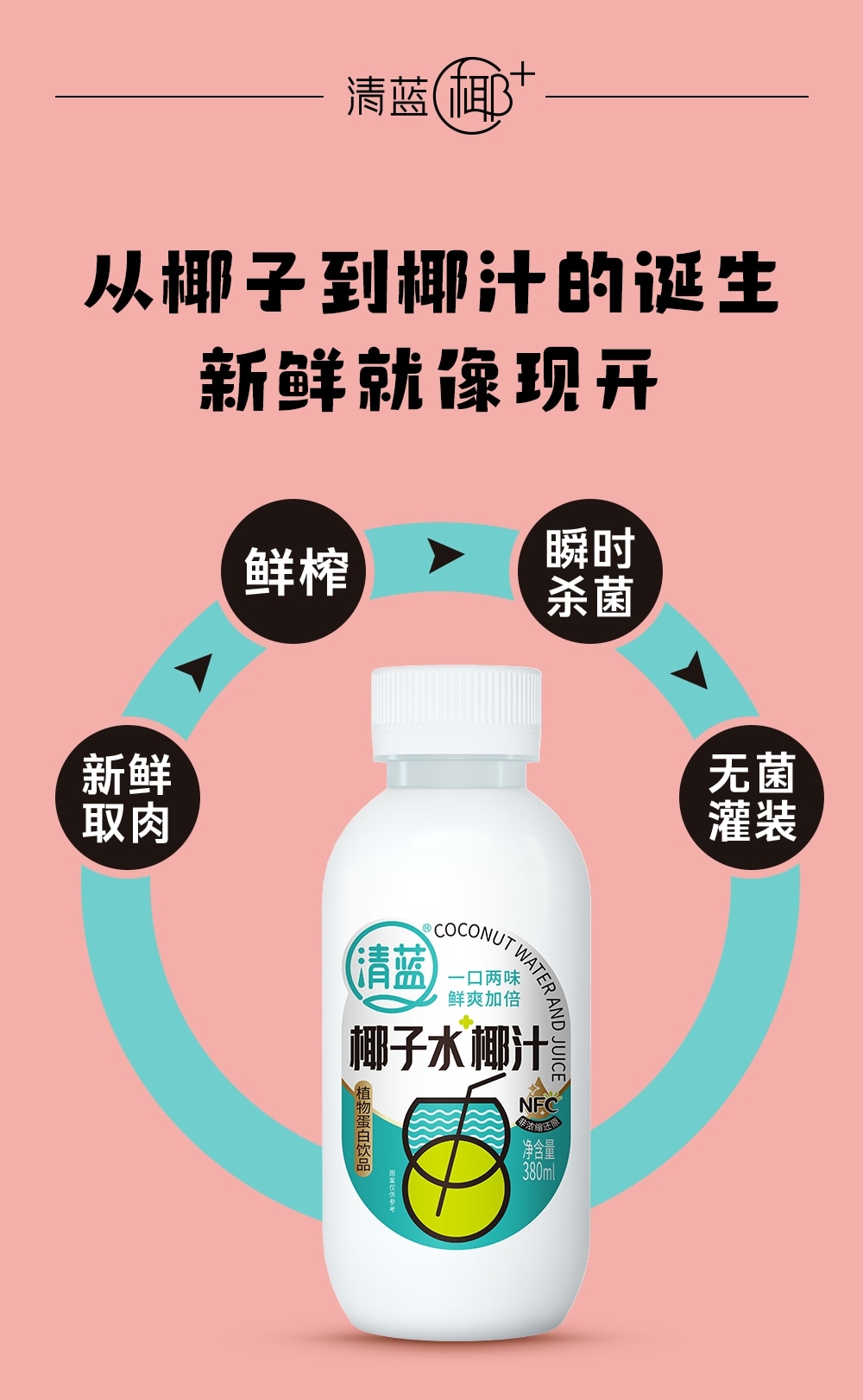 椰子水椰汁380ml-详情页切片_07.jpg